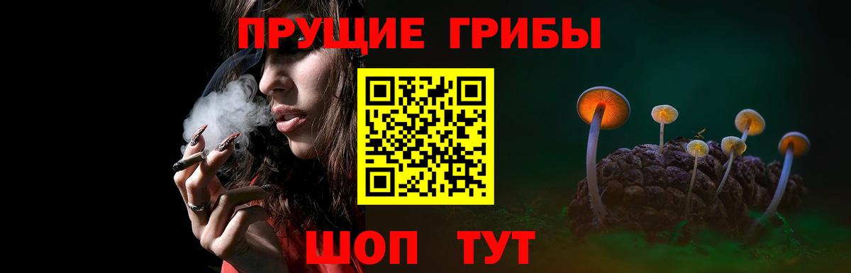 Псилоцибиновые грибы Psilocybe  купить   Междуреченск  Вход с VPN  Псилоцибиновые грибы Magic Shrooms 