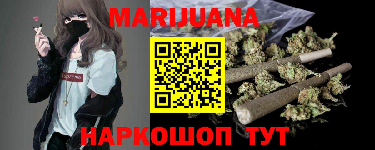 Канабис сатива Междуреченск